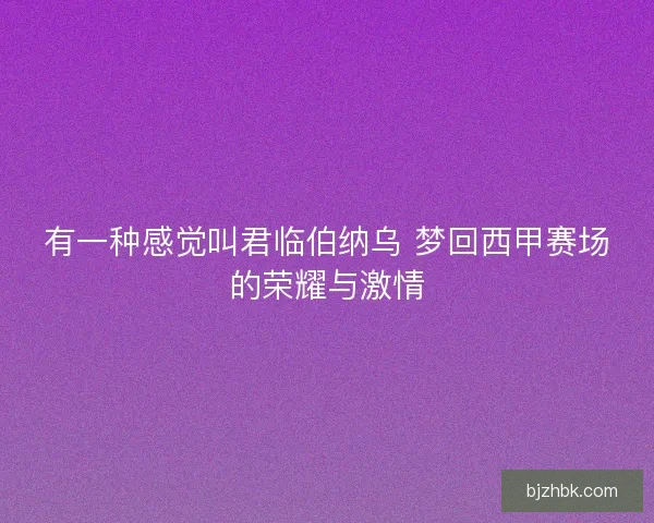 有一种感觉叫君临伯纳乌 梦回西甲赛场的荣耀与激情 有一种感觉叫君临伯纳乌 梦回西甲赛场的荣耀与激情