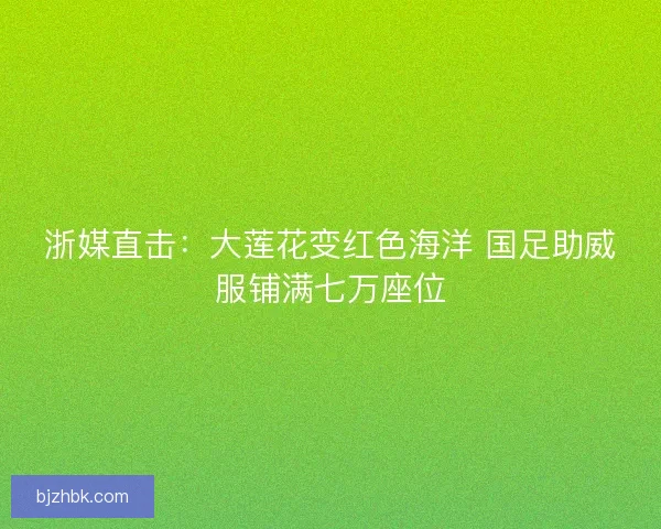 浙媒直击：大莲花变红色海洋 国足助威服铺满七万座位